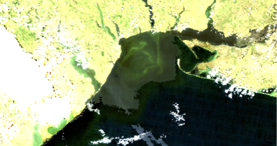 Figure 6 MODIS analysis of sediment plume (image June 17)